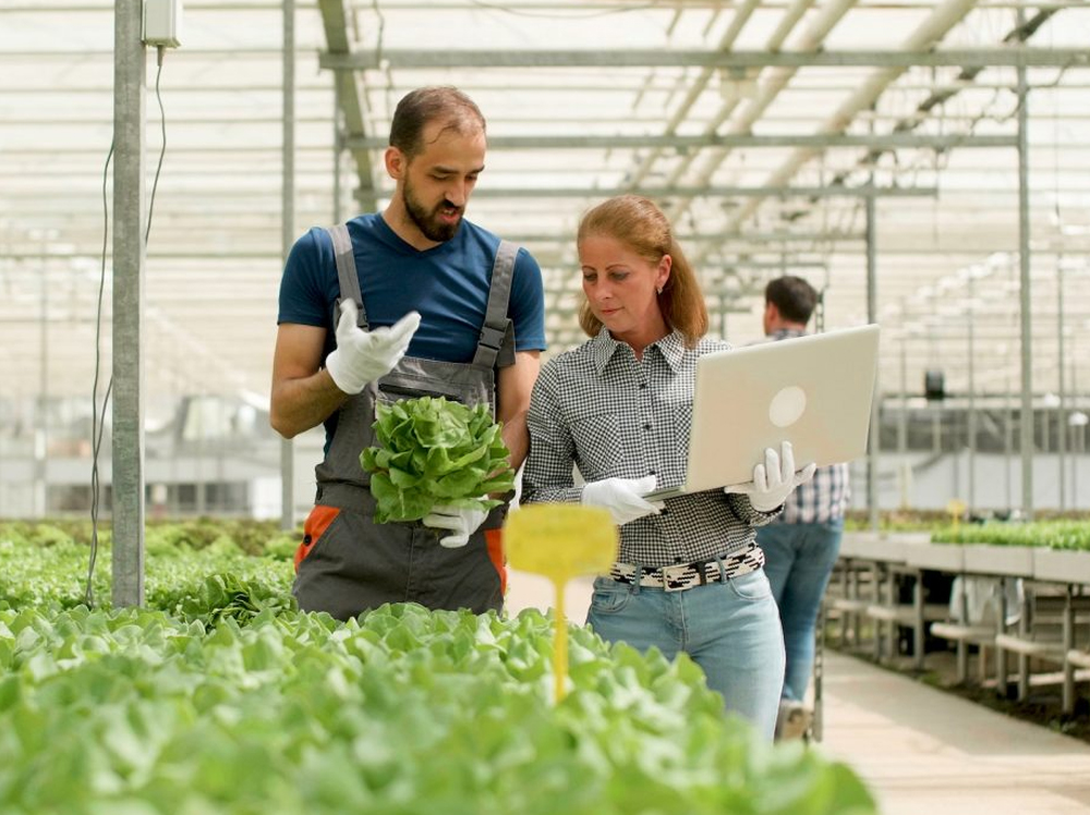 http://everagro.com/wp-content/uploads/2023/05/protfolio-img04.jpg