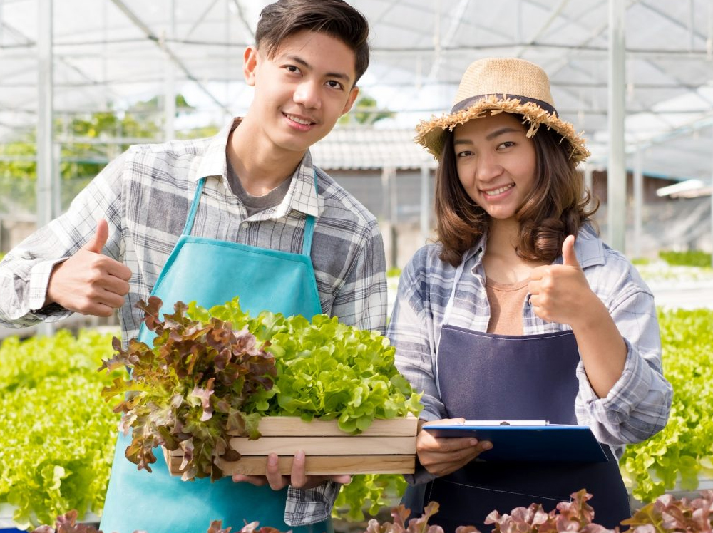 http://everagro.com/wp-content/uploads/2023/05/protfolio-img06.jpg