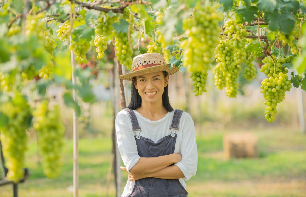 What Are Different Types of Fertilizers and Their Roles?