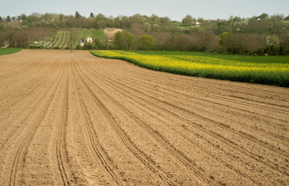 The Importance of Fertilizer in Modern Agriculture 